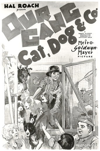 Póster de Cat, Dog & Co.