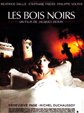 Póster de Les Bois noirs