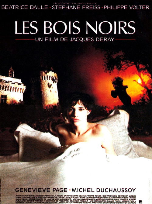 Póster de Les Bois noirs