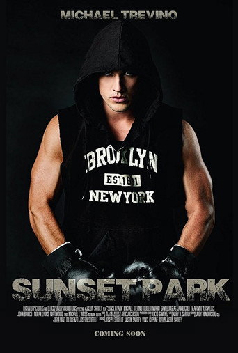 Póster de Sunset Park