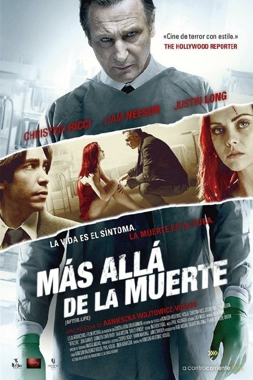 Póster de Después de la vida