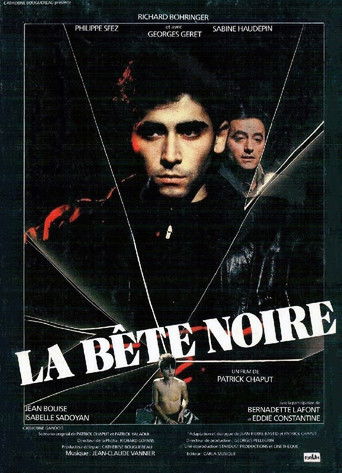 Póster de La Bête noire