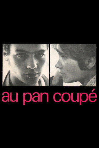 Póster de Au pan coupé