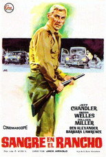 Póster de Man in the Shadow