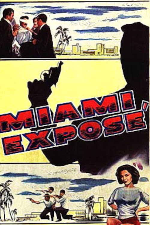 Póster de Miami Exposé