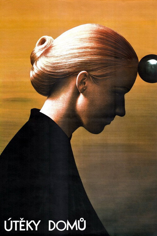 Póster de Útěky domů