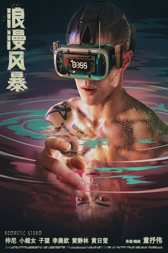 Póster de 浪漫风暴