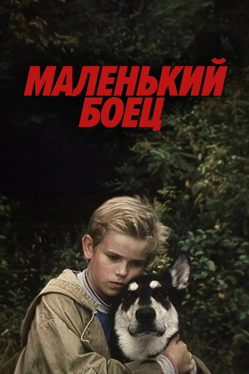 Póster de Маленький боец