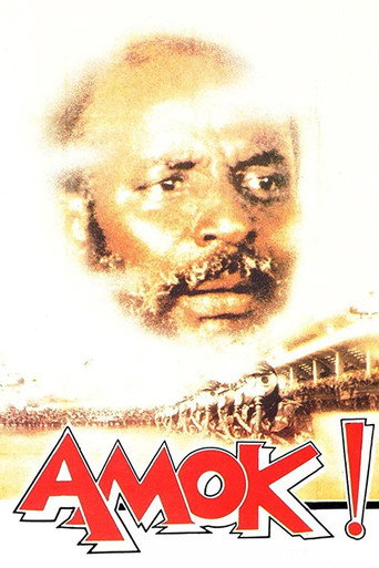 Póster de Amok