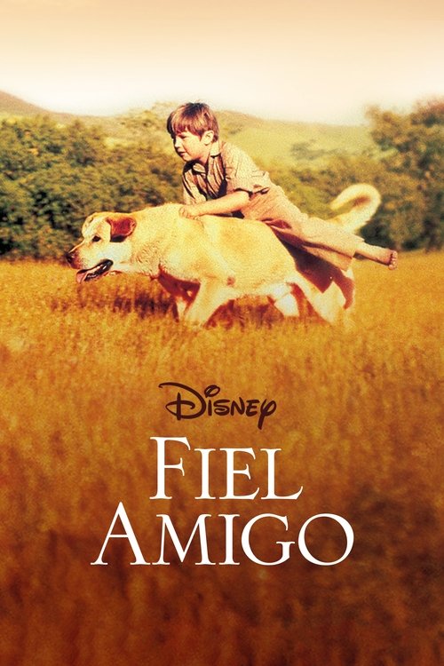 Póster de Su más fiel amigo