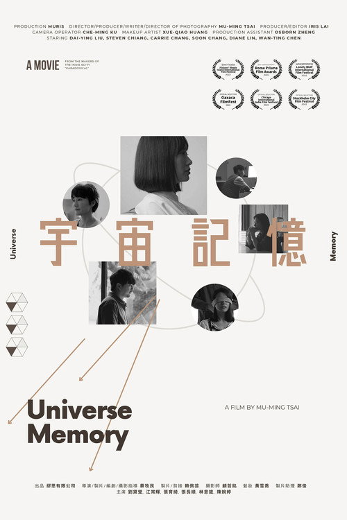 Póster de 宇宙記憶