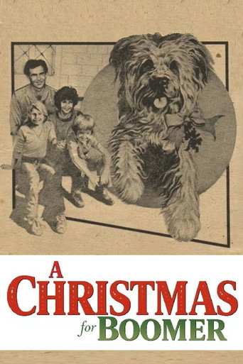 Póster de A Christmas for Boomer