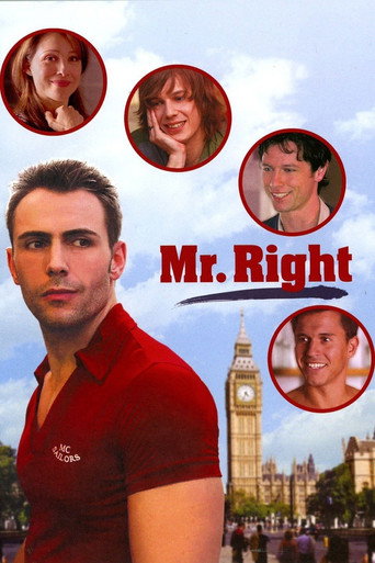 Póster de Mr. Right