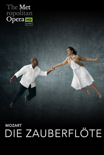 Póster de The Metropolitan Opera: Die Zauberflöte