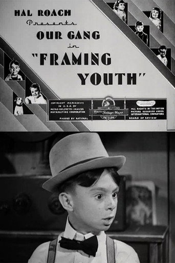 Póster de Framing Youth