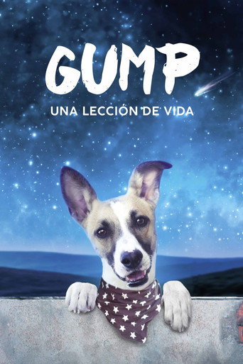 Póster de Gump: Una lección de vida