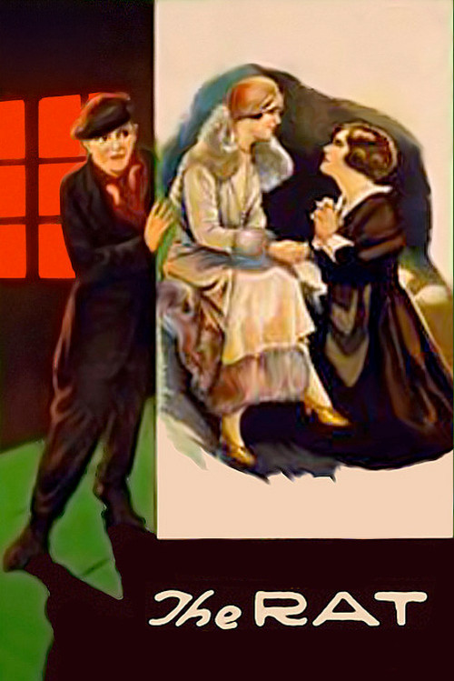 Póster de The Rat