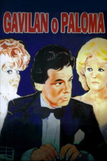Póster de Gavilán o paloma