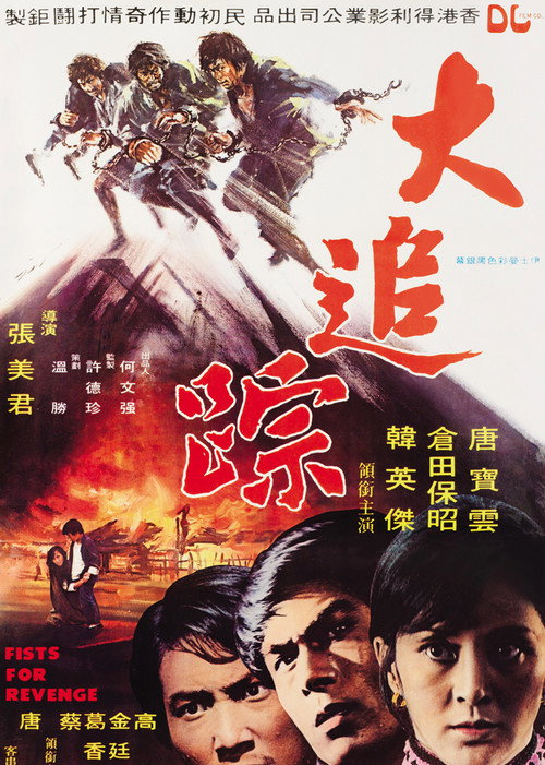 Póster de 大追踪