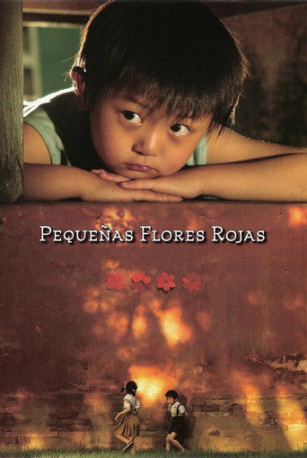Póster de 看上去很美
