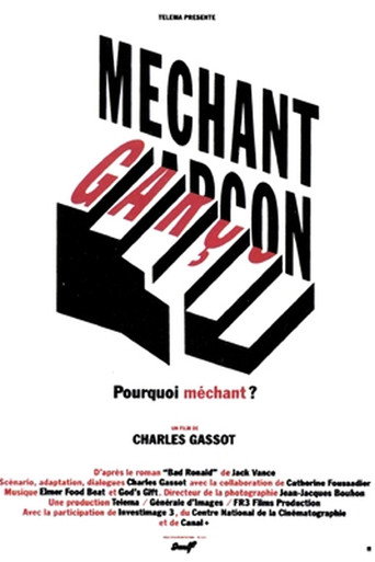 Póster de Méchant garçon