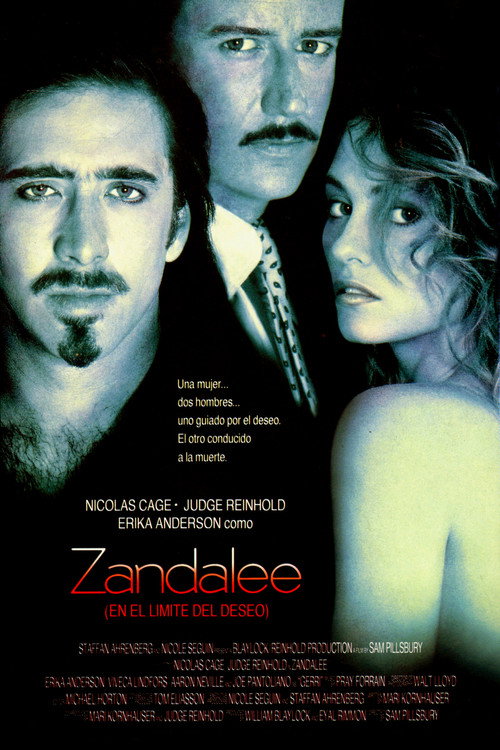 Póster de Zandalee