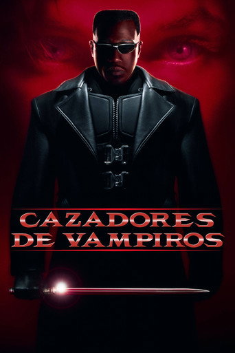 Póster de Blade: Cazador de Vampiros