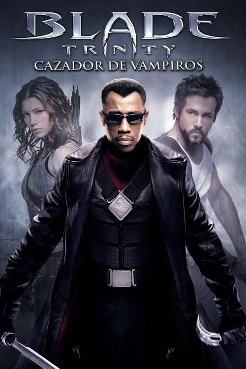 Póster de Blade: Trinity