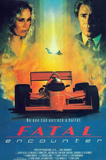 Póster de Fatal Encounter