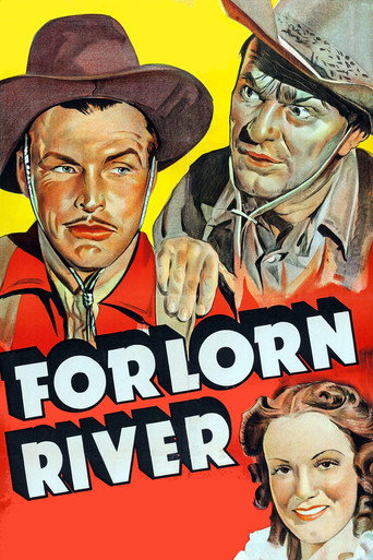 Póster de Forlorn River