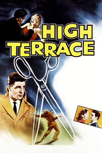 Póster de The High Terrace