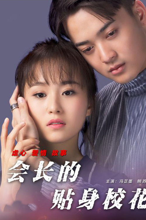 Póster de 会长的贴身校花