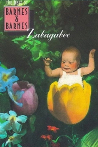 Póster de Zabagabee