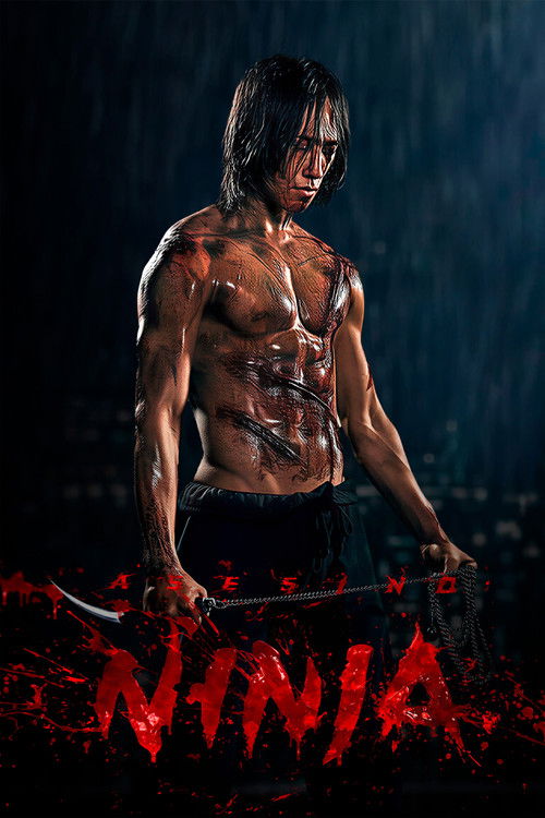 Póster de Ninja Asesino