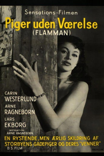 Póster de Flamman