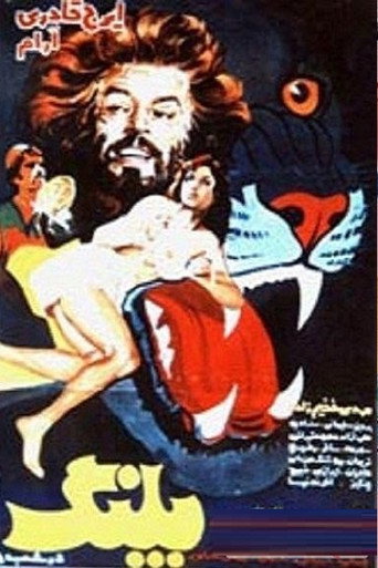 Póster de پلنگ در شب