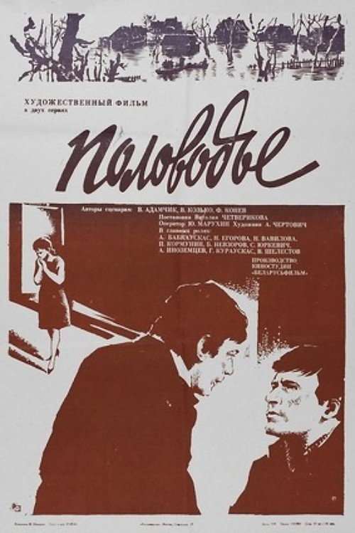 Póster de Половодье