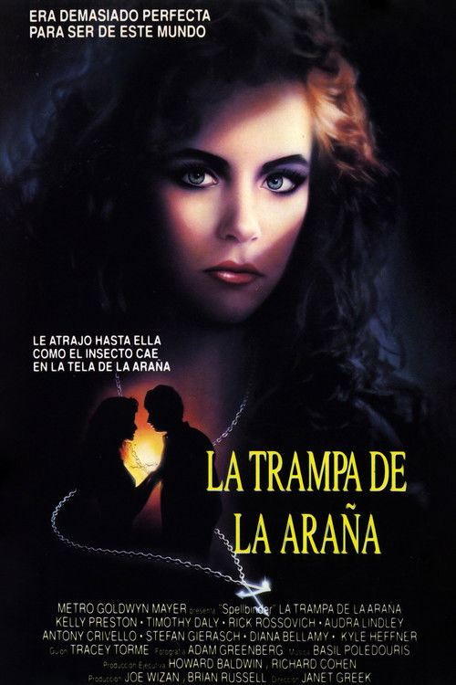 Póster de La hora de los brujos