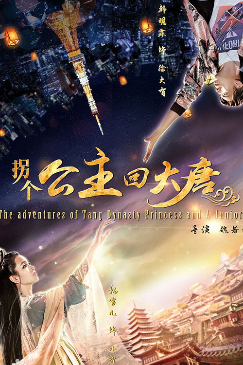 Póster de 拐个公主回大唐