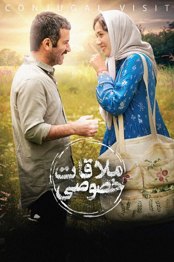 Póster de ملاقات خصوصی
