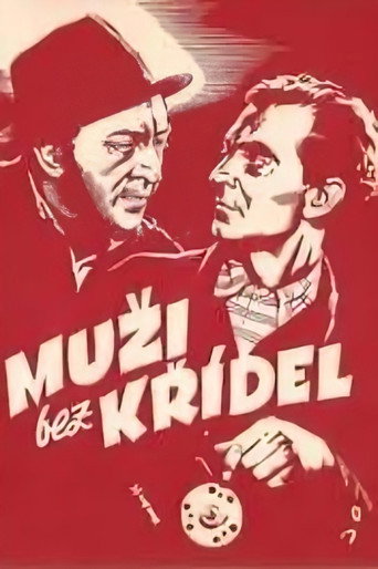 Póster de Muži bez křídel