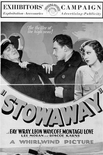 Póster de Stowaway