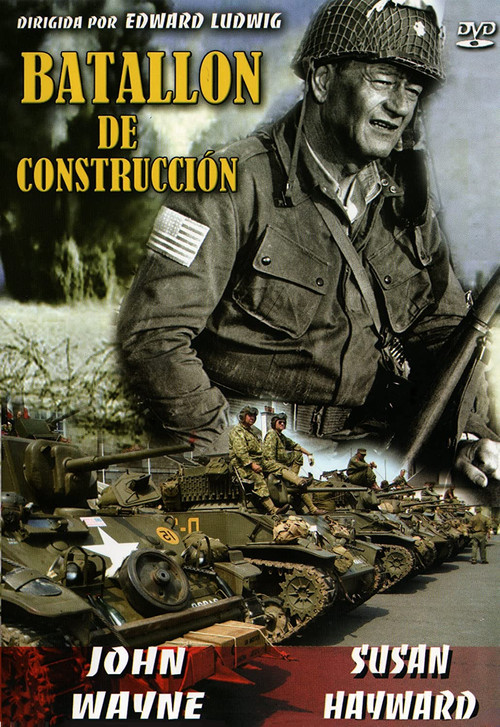 Póster de Batallón de construcción