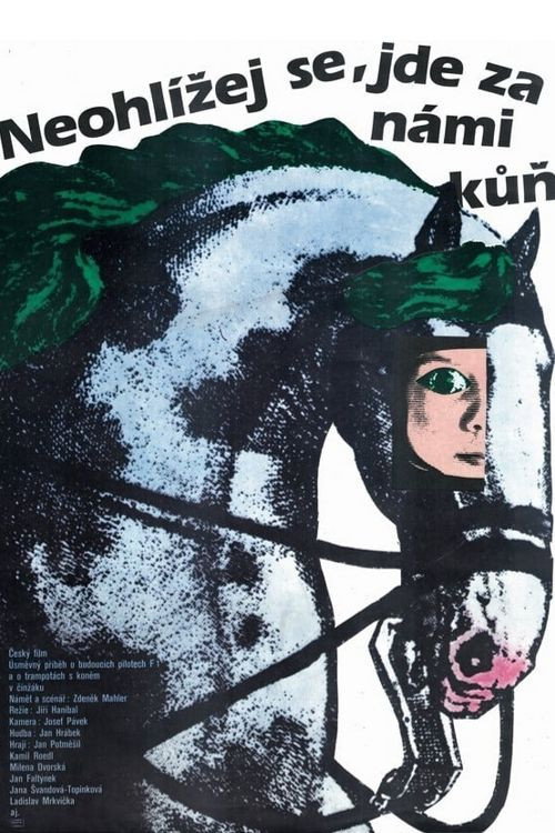 Póster de Neohlížej se, jde za námi kůň!