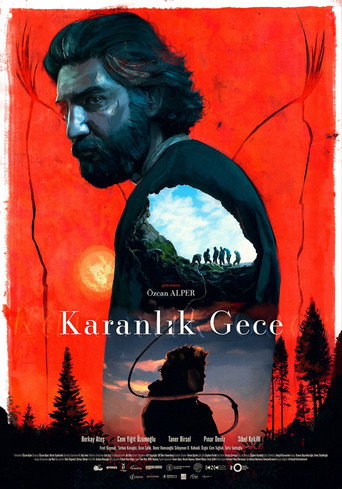 Póster de Karanlık Gece