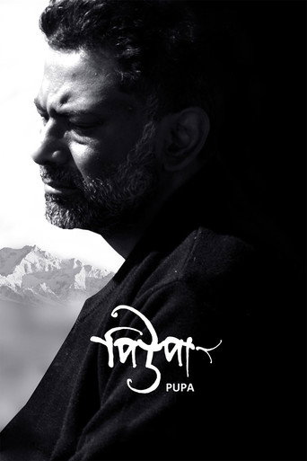 Póster de Pupa