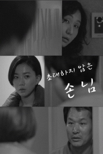 Póster de 손님