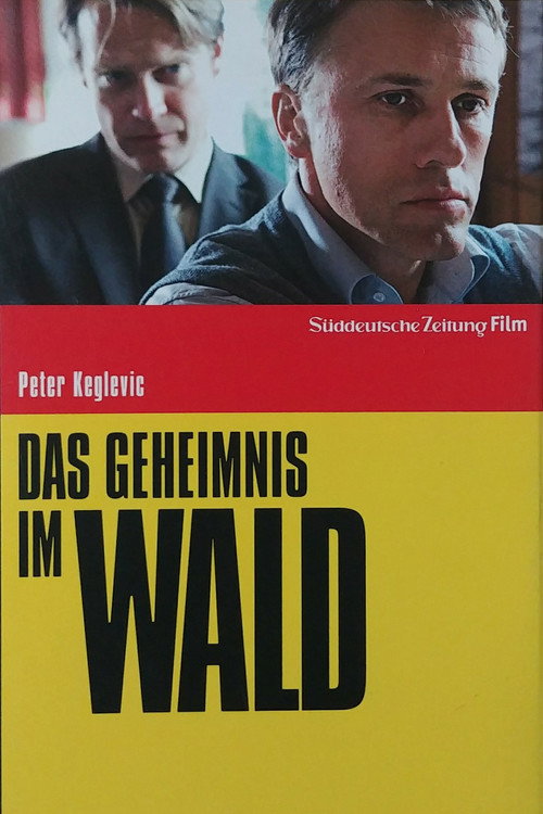 Póster de Das Geheimnis im Wald
