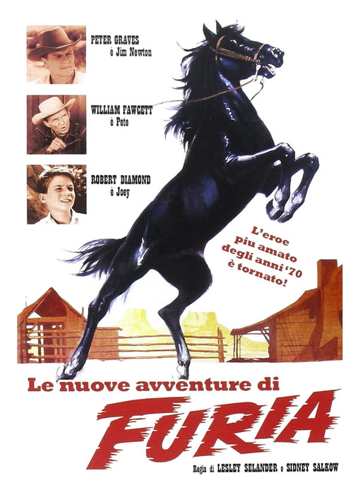 Póster de Fury