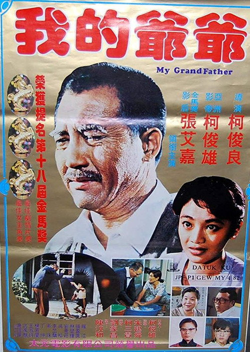 Póster de 我的爺爺